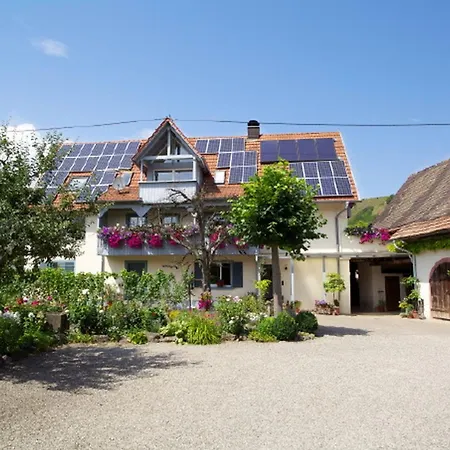 Apartman Winzerhof Bitzenhofer Vogtsburg