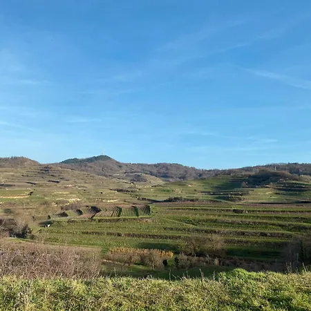 Winzerhof Bitzenhofer *