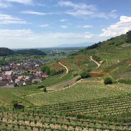 Winzerhof Bitzenhofer * Niederrotweil