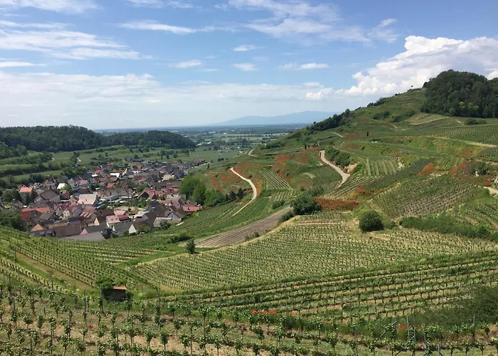 Appartamento Winzerhof Bitzenhofer Niederrotweil