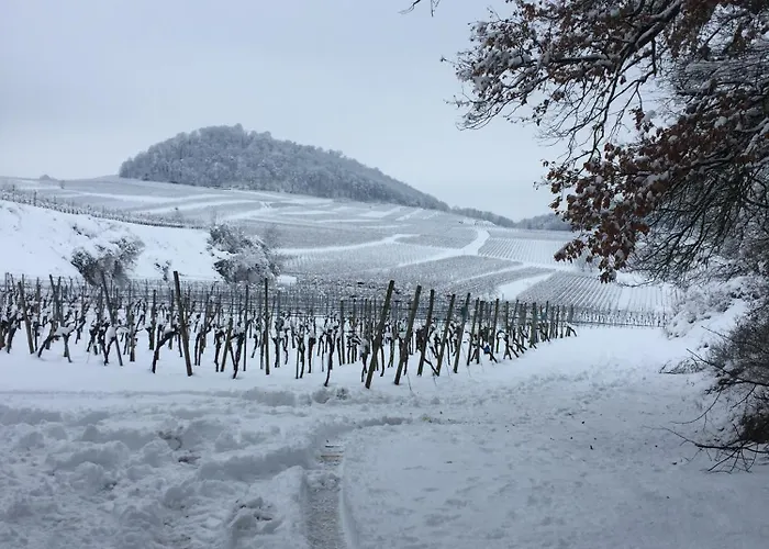 Appartamento Winzerhof Bitzenhofer